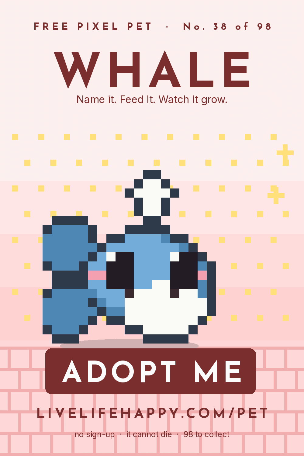 Animated pixel art trading card, number 38 of 98, Whale, with the words adopt me
